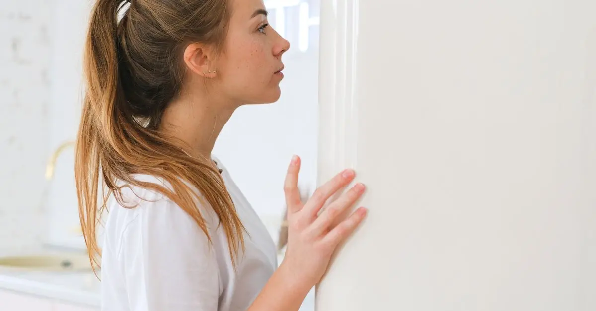 Les Réfrigérateurs Professionnels les Plus Économes en Énergie